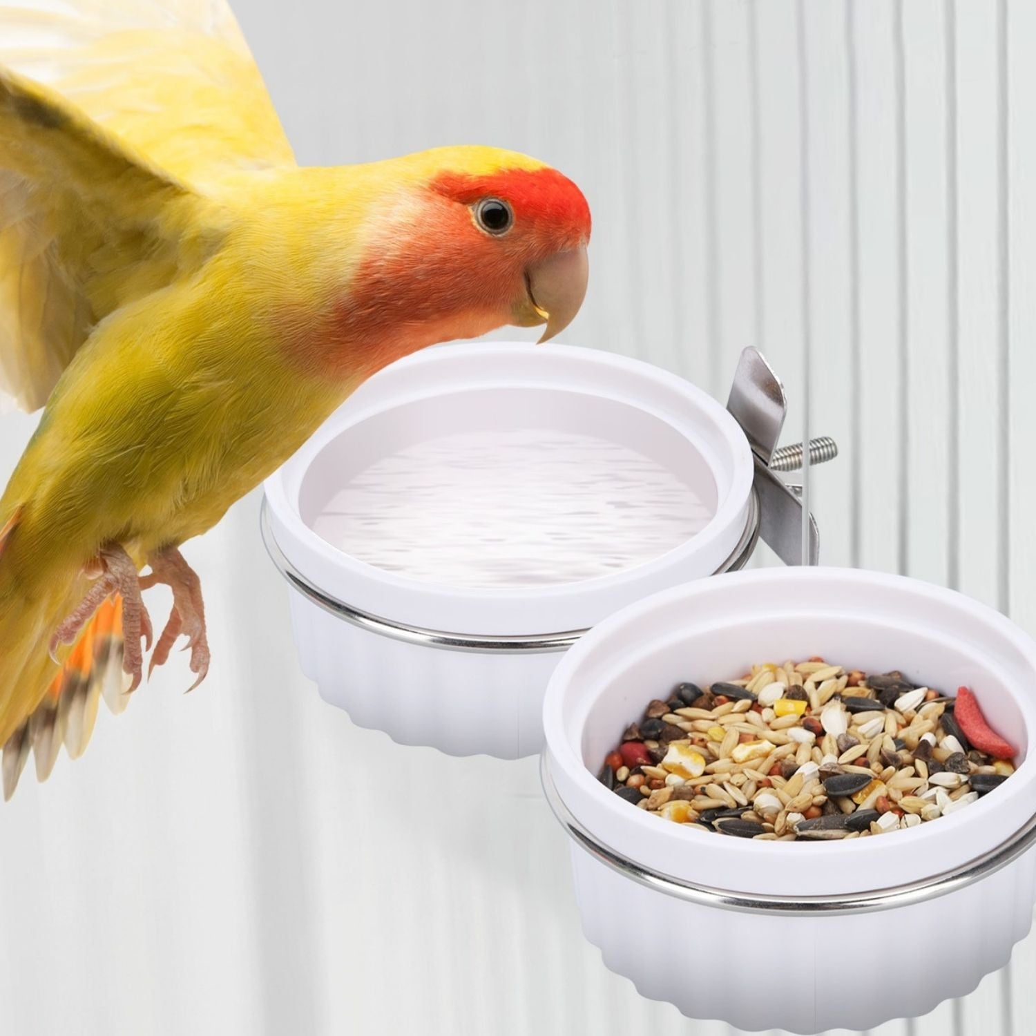 vogelvoeder set witte ronde voederbak met water